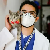 Veterinaria Dr Jousé