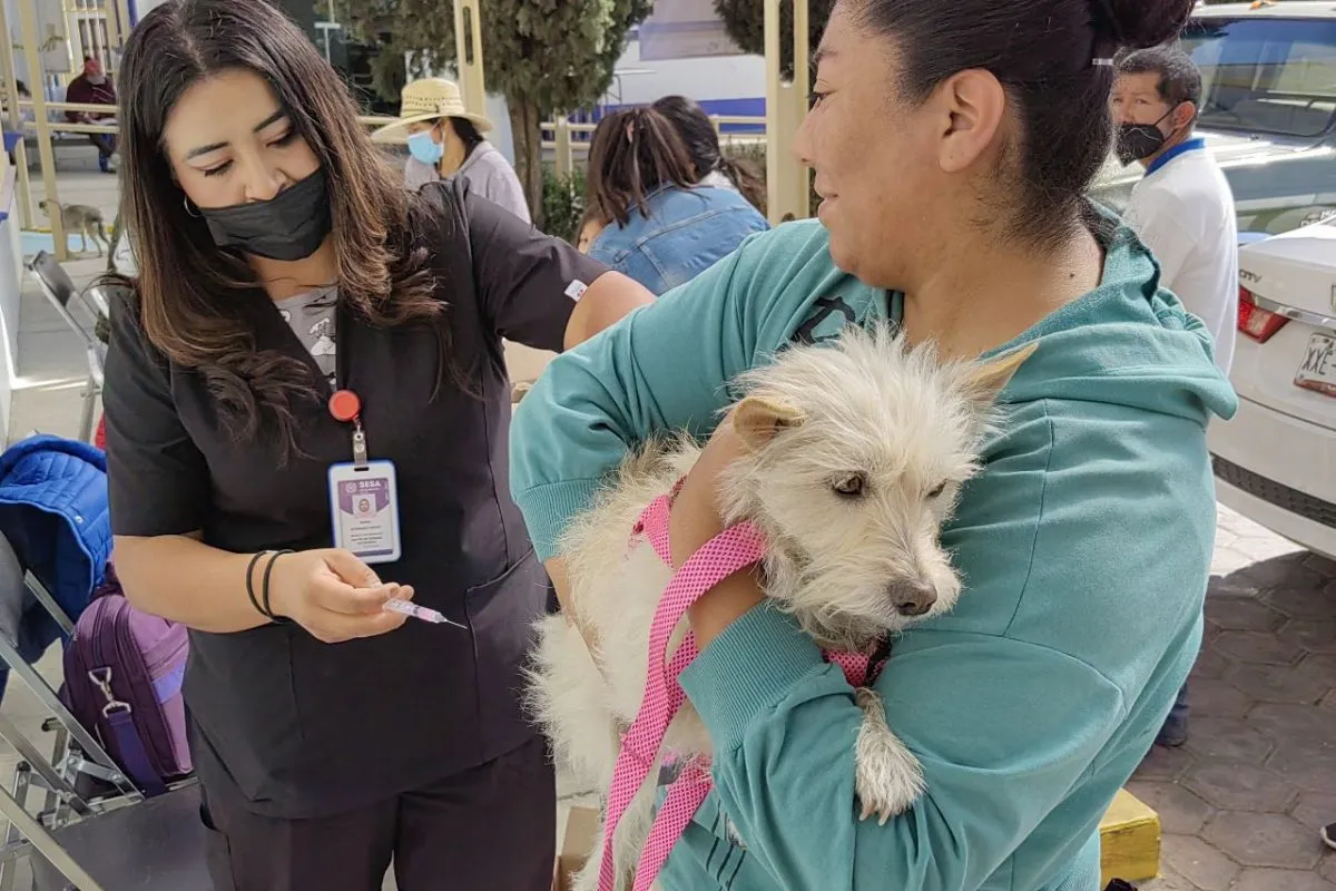 Veterinaria